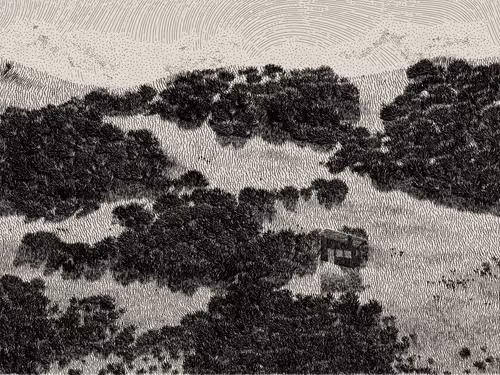 Item #476000022 Media