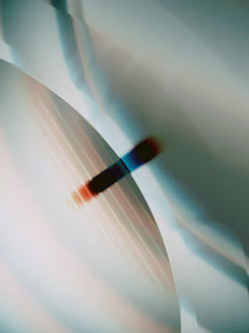 Item #484000126 Media