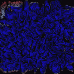 Spaghetti Bones #461