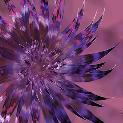 Fleur #259