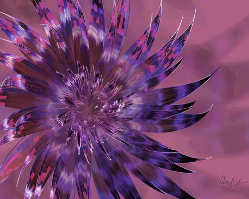 Item #378000259 Media