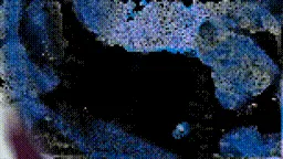 Item #472000566 Media