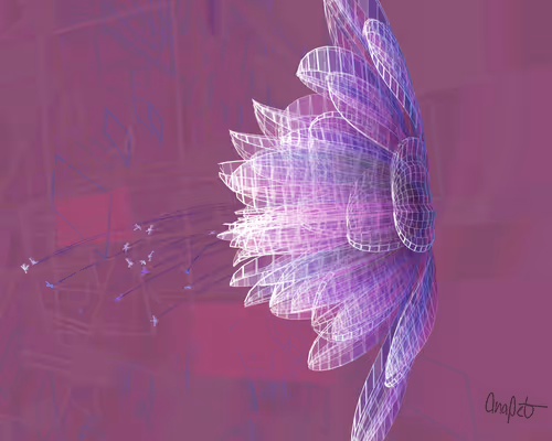 Item #378000153 Media