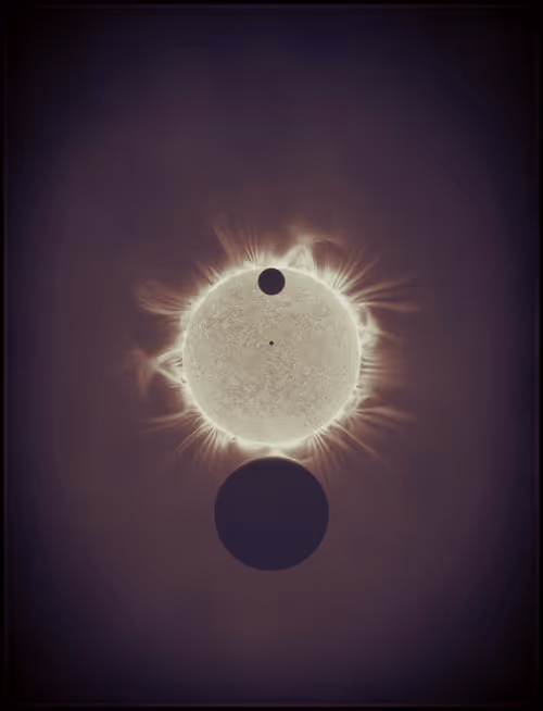 Item #423000186 Media