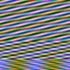 376000081