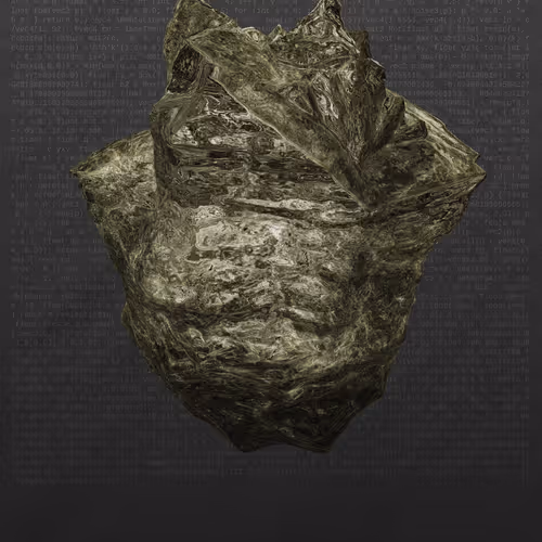 This Is Not A Rock By Nicole Vella