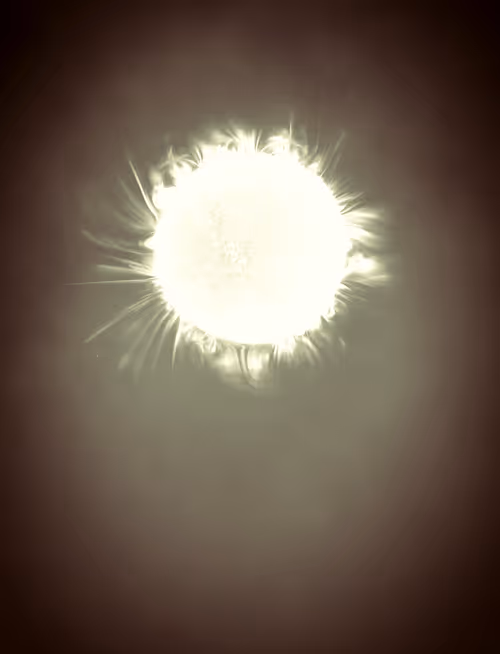 Item #423000042 Media