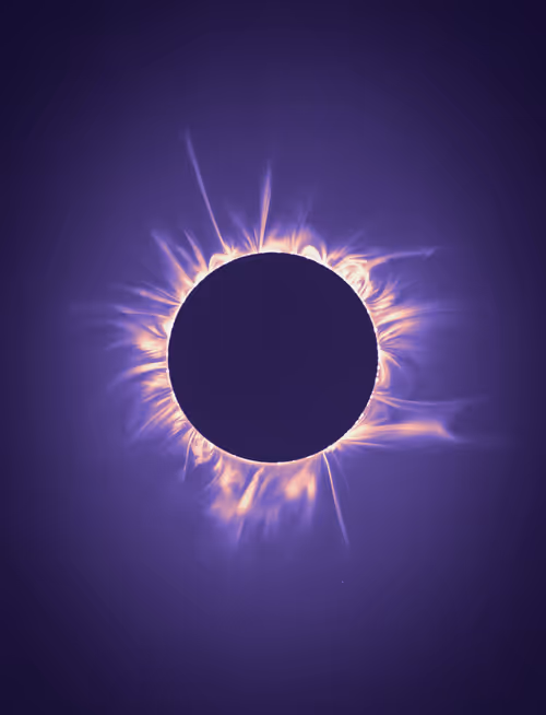 Item #423000298 Media