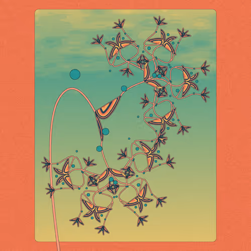 Seedlings By Ves3l
