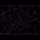 383000051