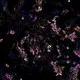 472000492