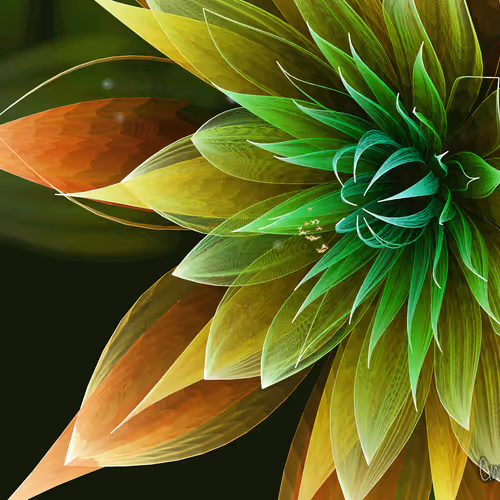 Fleur By Anapet