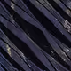 416000244