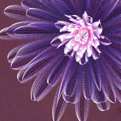 Fleur #124