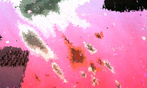 Item #428000210 Media