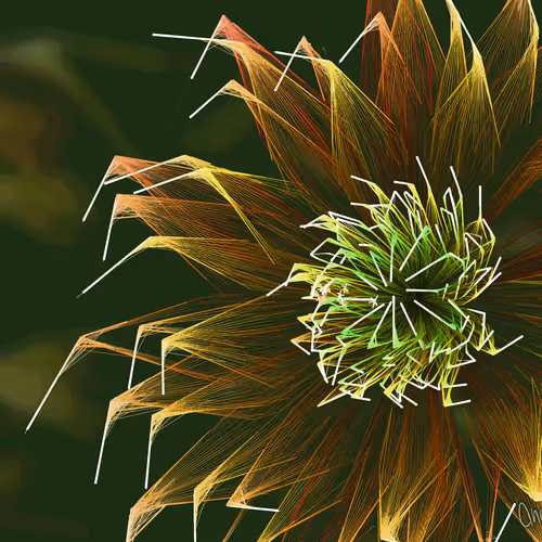 Fleur By Anapet