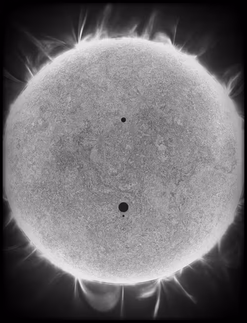 Item #423000194 Media