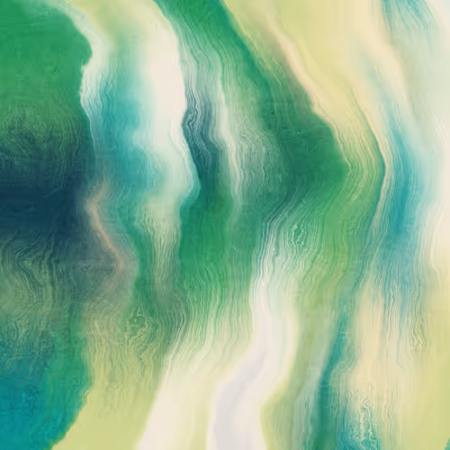 Item #479000006 Media