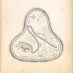Cytographia #397