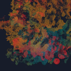 Mycelia #153