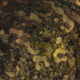 458000121