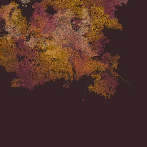 Mycelia By Jmy
