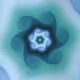 Volute #47
