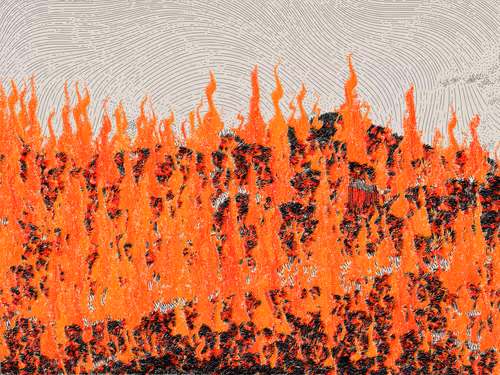 Item #476000175 Media