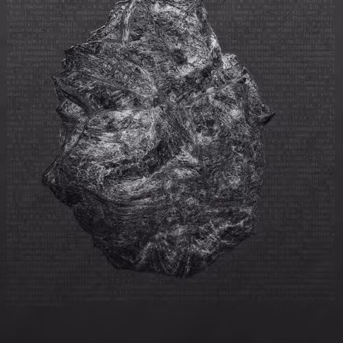 This Is Not A Rock By Nicole Vella
