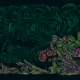 456000356