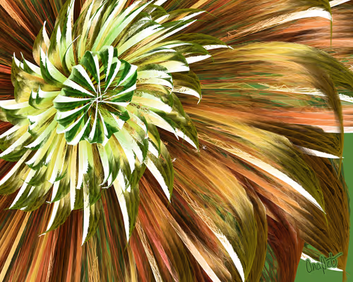 Item #378000211 Media