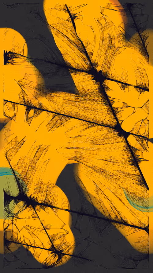 Item #483000204 Media