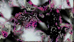 Item #472000453 Media