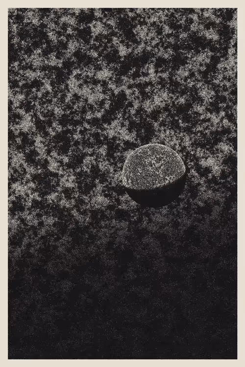 Item #434000275 Media