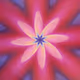 394000142