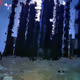 428000382