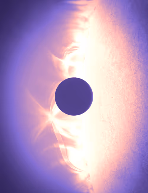 Item #423000388 Media