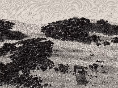 Item #476000135 Media