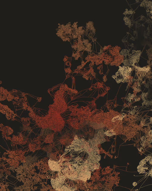 Item #458000108 Media