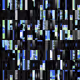 426000685