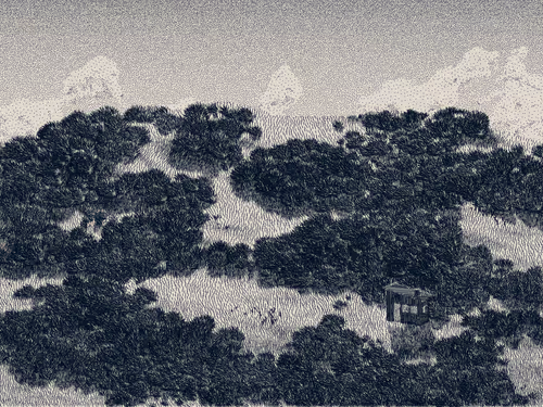 Item #476000132 Media