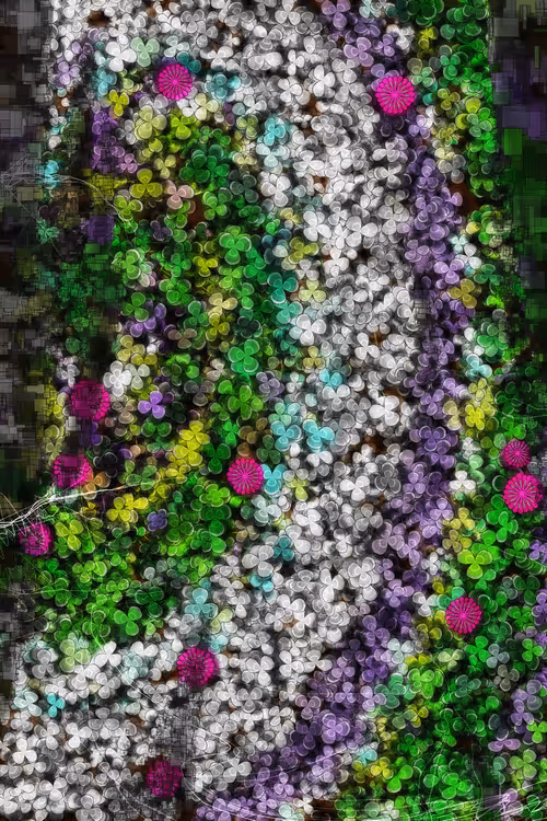 Item #478000006 Media