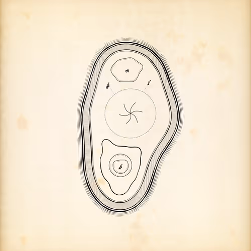 Item #487000320 Media