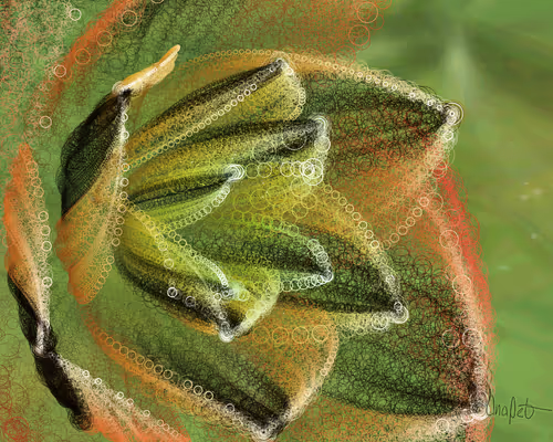 Item #378000063 Media