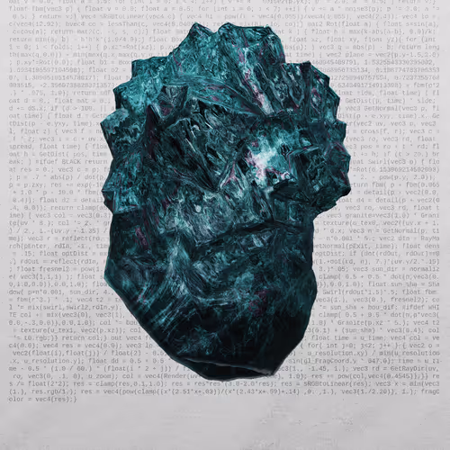This Is Not A Rock By Nicole Vella