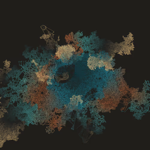 Mycelia #17