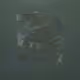 417000166