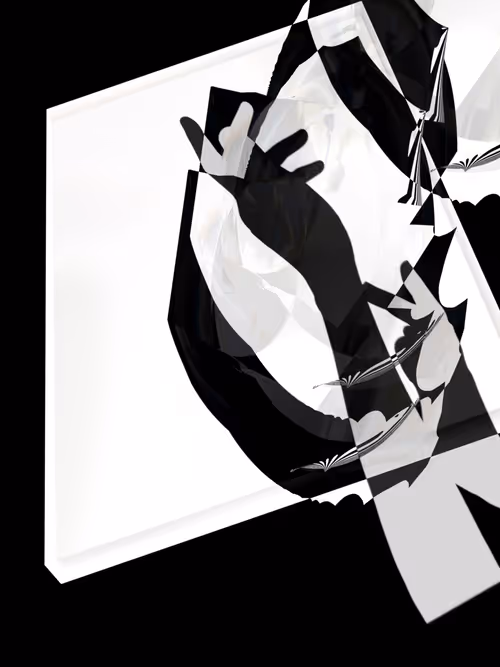 Item #455000254 Media