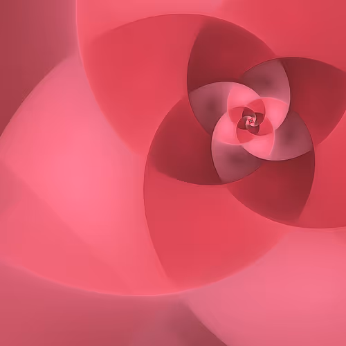 Volute By Rvig