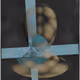 386000051